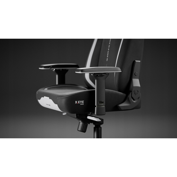 Ігрове крісло Diablo Chairs X.Eye Prime Burned Black