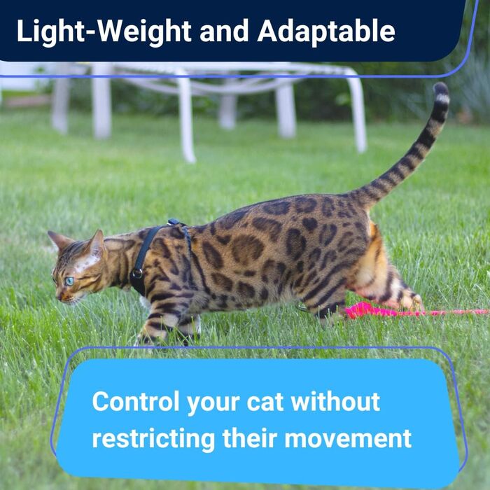 Нашийник та поводок для котів Houdini™ з веганської шкіри, анти-вислизання, OutdoorBengal для прогулянок (M, середній, м'яка сітчаста тканина)