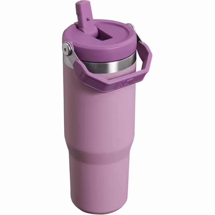 Stanley Flip Straw Tumbler 1.0 Water Bottle with Straw 0.89L - Thermos Bottle Keeps 12+ Hours Cold - Dishwasher Safe - Sports Bottle - Water Bottle BPA Free - (Lilac)