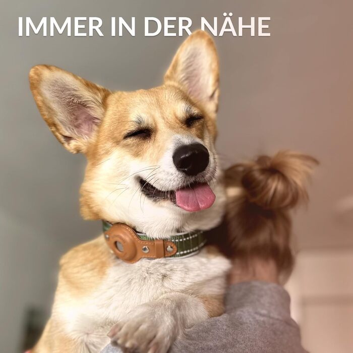 Нашийник для Apple AirTag з відбиваючим матеріалом, CollarDirect, для собак великих, середніх та малих порід, зелений, розмір L (42-51 см)