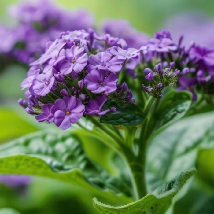 Жіночі парфуми Yodeyma Tayda, 100 мл