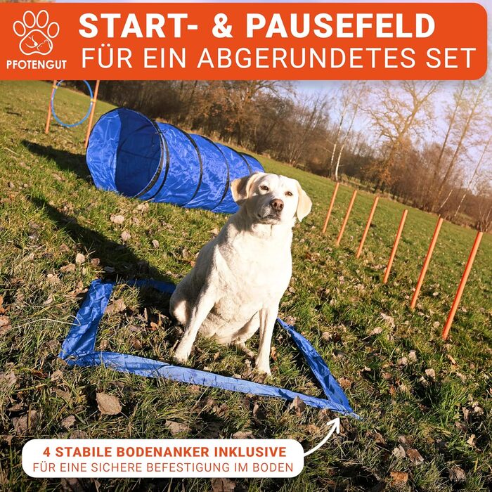 Набір для аджиліті для собак [11-TLG.] - універсальний набір з перешкодами, тунелем, слаломом та іншим для тренування та аджиліті собак - з аксесуарами та сумкою для транспортування, великий розмір