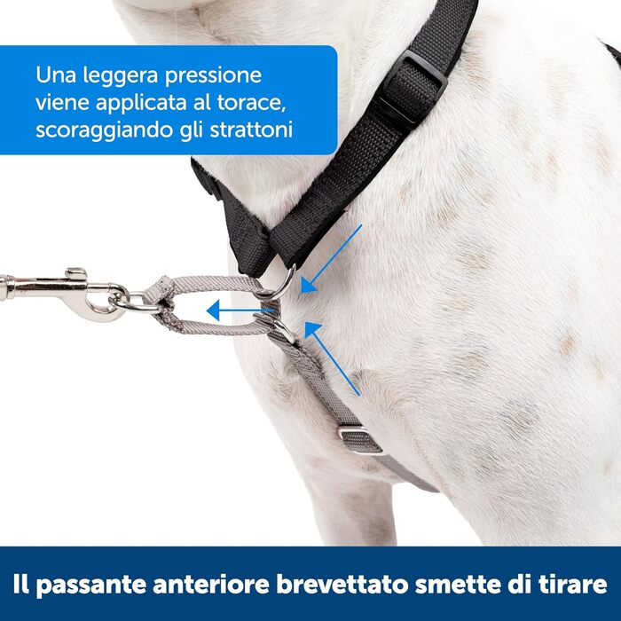 Нашийник-шлейка PetSafe 3-в-1 для собак, з анти-тягнучим кільцем та ременем для авто, розмір L, чорний