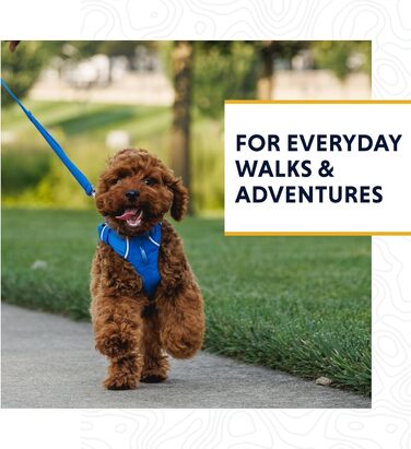 RUFFWEAR Front Lead, lightweight, 1.5 m, Strong lead with padded handle and secure swivel Crux Clip, compact, flat Tubelok webbing, Moonlight Fade