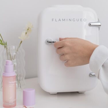 Mini холодильник Flamingueo 4L, 12V/220V: Косметичний, для догляду за шкірою, настільний, білий