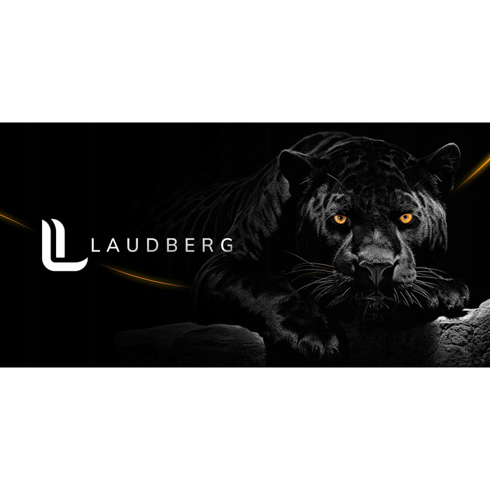 Бездротові накладні Bluetooth-навушники Laudberg H1B, чорні, з ANC та кейсом