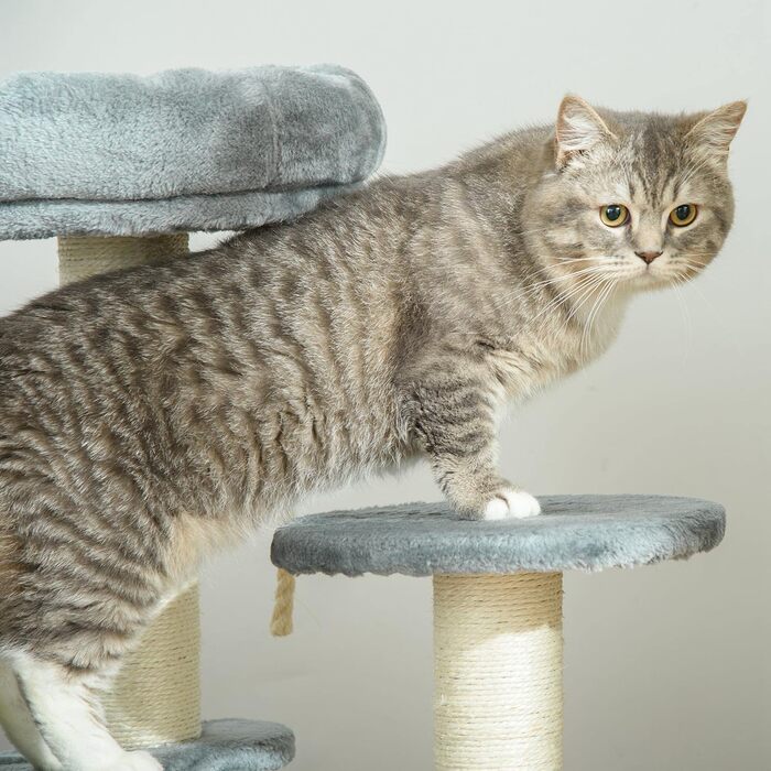 PawHut Cat Tree Climbing Tree with Hammock, 3-Tier Play Tree with Cat Bed Cat Scratching Post with Sitting Platform, Sisal Columns, Grey Ø40 x H65 cm