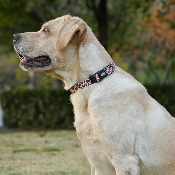 Нашийник для собак Olahibi з повідком, леопардовий принт, поліестер, регульований, 1,5 м, для цуценят (XS, світло-кавовий)