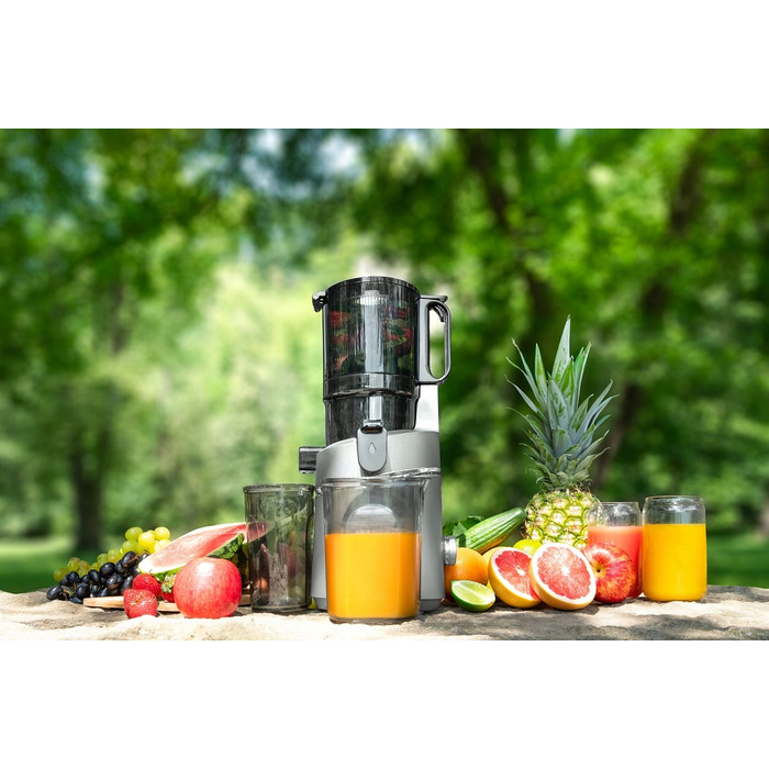 Вертикальна шнекова соковижималка Concept JUICY LO7120, 250 Вт