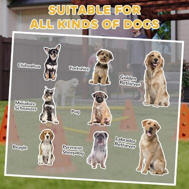 Набір для аджиліті для собак PawHut: 8 кеглів, 8 стійок, 3 перешкоди, регульована висота, з сумкою, оранжевий, багатокольоровий