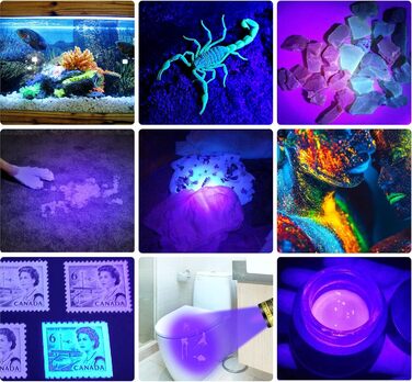 UV ліхтарик DARKBEAM 395nm, USB заряджання, LED, для затвердіння смоли, перевірки нігтів та сечі, з UV-окулярами
