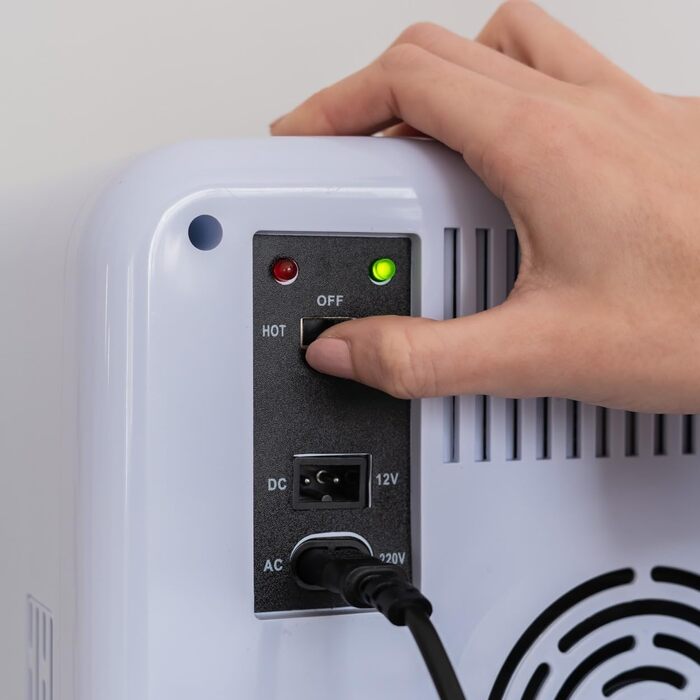 Міні-холодильник Flamingueo 10л 12V/220V: Автомобільний холодильник-термос для напоїв