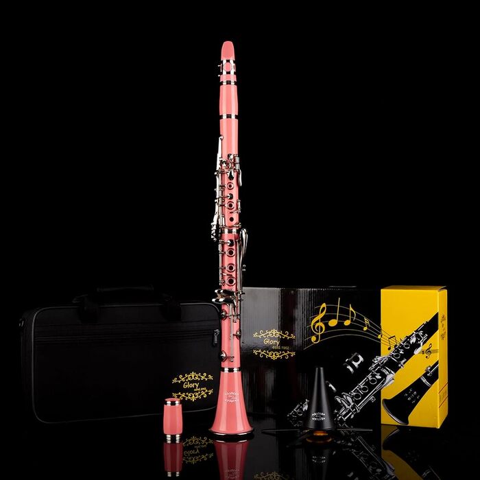 Професійна кларнет Glory GLY-CLAGN з ебоніту, Bb, з аксесуарами (10 вставок, стійка, кейс, серветка, щітки), зелений (рожево-сріблястий)