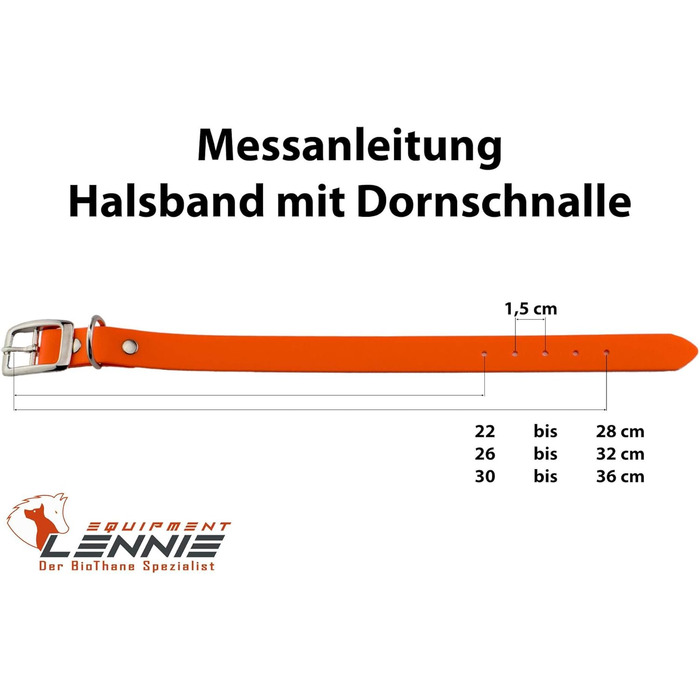 Ленні нашийник для собак Biothane 25 мм, подвійна пряжка, персоналізований з ім'ям/номером телефону, стійкий до бруду та води (16 мм)