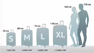 Валіза American Tourister Linex Spinner L 76 см, 102 л, чорна, для подорожей