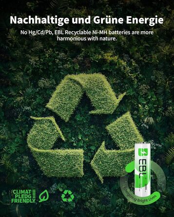 Зарядний пристрій для акумуляторів EBL AA AAA 9V NIMH з 4-ма відсіками, смарт-зарядка, LED-дисплей, швидка зарядка (з набором акумуляторів)