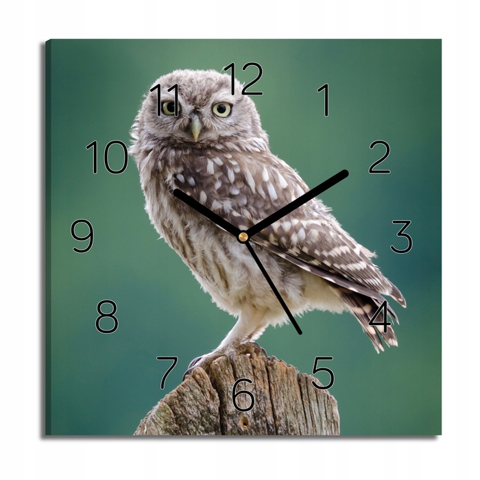 Настінний годинник на полотні «Сова» 30x30 см з власним фото