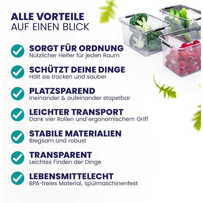 Deuba® 10x Storage Box with Lid 2L Box Plastic Crates Food Safe BPA Free Small Click Closure Transparent Stackable Kitchen Bedroom