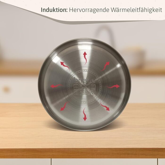 Чайник електричний Nordic Wasserkessel Induktion 2.3L, з свистком, з нержавіючої сталі, ретро дизайн, для всіх типів плит (склокераміка, газ, електро), з дерев'яною ручкою Cool-Touch, для чаю та кави, чорний