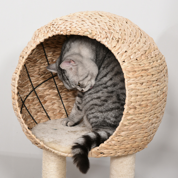 PawHut Драбина для котів з будиночком 100H см, гніздо для котів, іграшка з м'ячиком та сизаль, бежевий