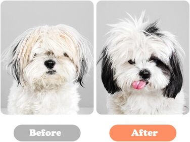 Набір професійних ножиць для грумінгу собак та котів: титанові ножиці, розріджувач, прямі ножиці з гребенем (чорний) (Рожевий)