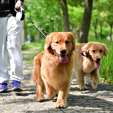 Рулетка для собак ExPawlorer, 5 м, чорно-біла, до 20 кг, білий ручка, безпечна система гальма