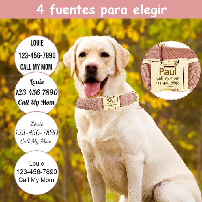 Нашийник для собак з металевою застібкою, двосторонній з іменем та номером телефону, регульований розмір, M та L (Нашийник 06)