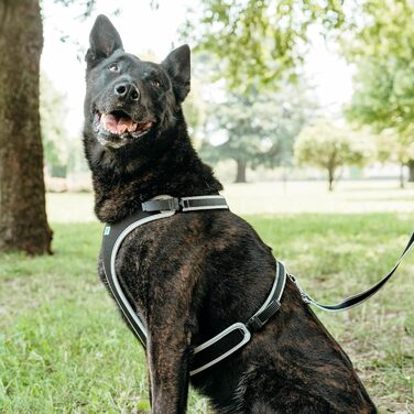 Нашийник для собак середнього розміру Ferplast ERGOCOMFORT, регульований, з м'якою підкладкою, подвійний мікрорегулятор, швидка застібка, сріблястий (Halsumfang: 64-74 см, Brustumfang: 82-92 см)