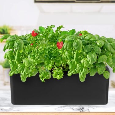 Самополивний прямокутний горщик Planterhoma для підвіконня, пластиковий, чорний, з дренажем, 2 шт, для кімнатних рослин