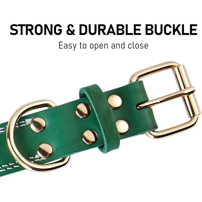 Нашийник для собак з натуральної шкіри, зелений, ширина 2.5 см, обхват шиї 40-51 см
