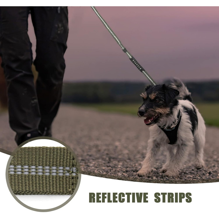 Міцна тактична повідка для собак Raiput Bungee з амортизатором, 1,2-1,8 м, карабін з фіксатором, світловідбиваючі елементи, для середніх собак (Ranger Green, Aviation aluminum)