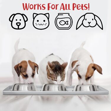 DogBuddy Миска для собак, великих порцій, з неслизьким дном, миска для води та корму (Білий пісок)