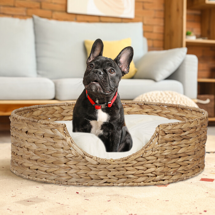 Relaxdays Pet Bed for Dogs and Cats