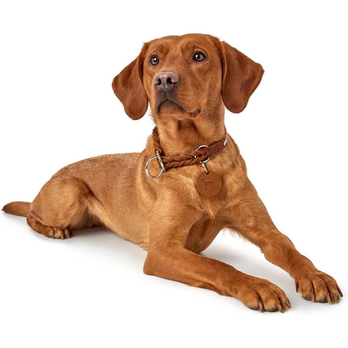 HUNTER Нашийник для дрессури SOLID EDUCATION, колір: коньяк, міцне шкіряне плетиво, з кільцем-обмежувачем, Made in Germany, розмір: M-L