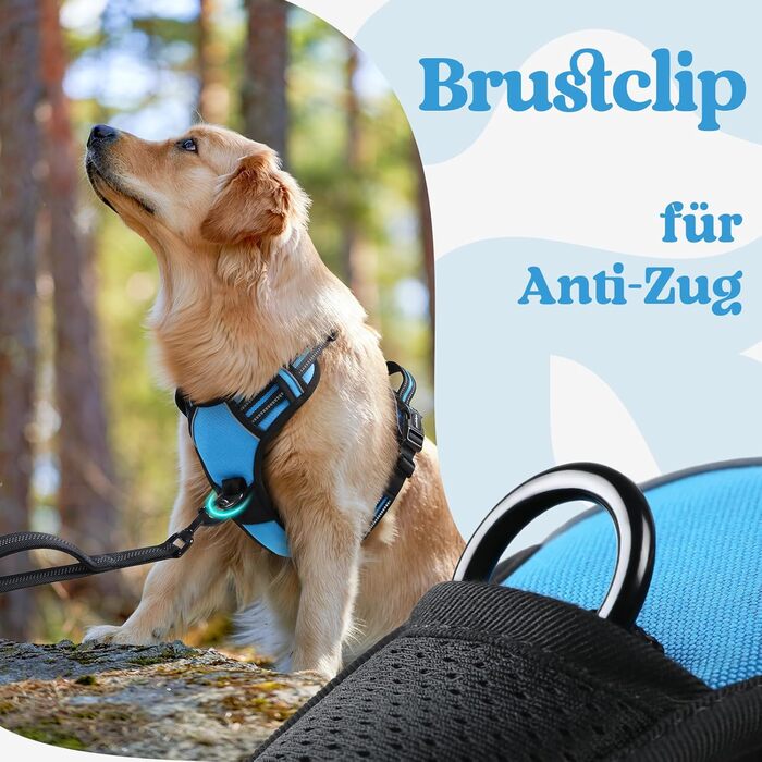 Нашийник для собак Rabbitgoo, великі породи, регульований, проти тяги, з ручкою, м'який, світловідбиваючий, блакитний, L (XL, 1 шт.)