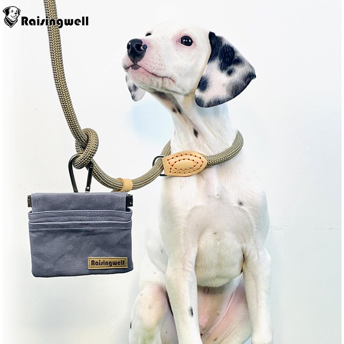 Сумка для корму для собак Leckerlibeutel: міцна бавовняна сумка для прогулянок з карабіном та самозакривною застібкою. Ідеально для подорожей та активного відпочинку (сірий)