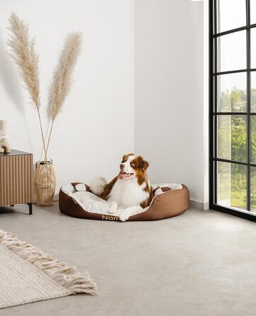 Ліжко для собак та котів Lionto 4-в-1 з поворотним подушкою, 65x50 см, з міцного оксфорду, водовідштовхувальне, з глибоким входом, з декоративною подушкою, для всіх розмірів, (колір: коричневий/бежевий)