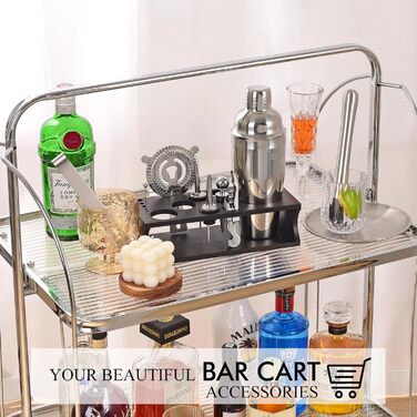 750ml Stainless Steel Cocktail Shaker Set with Bamboo Stand & Recipe Book - 17 Piece Bar Set for Bartenders, Gifts for Women (Black Silver)