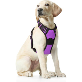 колір: ліла