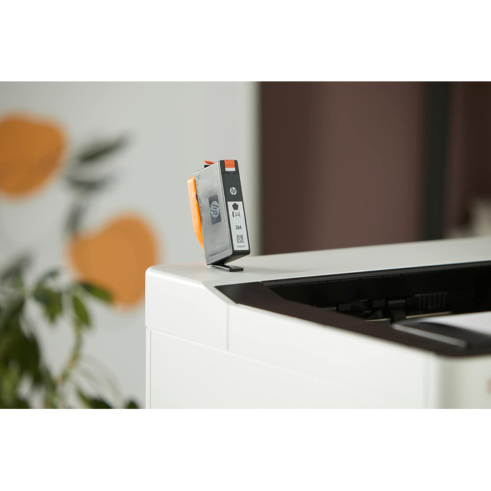 Оригінальний картридж HP 364 чорний (Standard), комплект 2 шт.