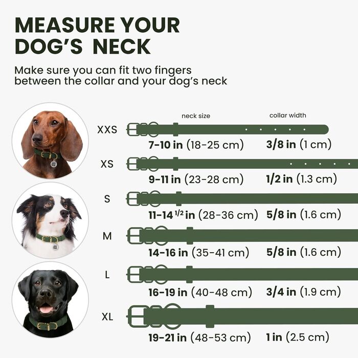 Нашийник для собак BRONZEDOG з QR-ID, шкіряний, регульований, м'який, круглий, для собак маленьких, середніх та великих порід, цуценят та котів (Смарагдовий, 40-48 см)