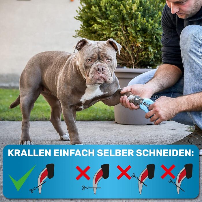 Професійні когтерізки BluePet Profi для собак та котів - регульовані, з напилком, M-XL