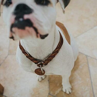 HUNTER Нашийник для дрессури SOLID EDUCATION, колір: коньяк, міцне шкіряне плетиво, з кільцем-обмежувачем, Made in Germany, розмір: M-L