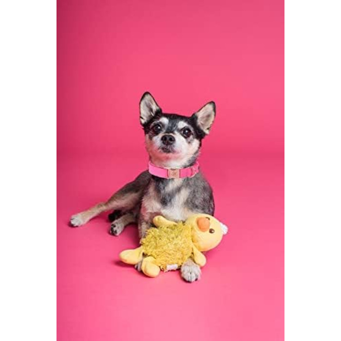 Елегантний поводок та нашийник для собак з натуральної шкіри - міцний нашийник для собак на осінь, регульований для маленьких собак, рожево-рожевий (1 шт.)