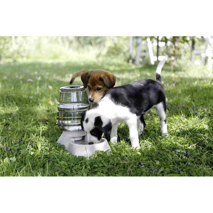 Диспенсер для води Kerbl Nuvola 3,8 л, Бежевий (миска, диспенсер) 81998