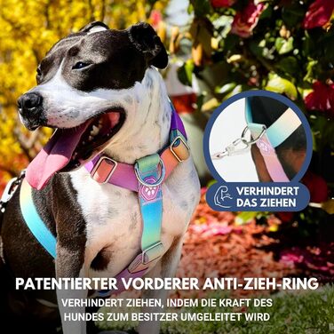 Шлейка для собак Spark Paws No Pull для великих порід, регульована, з фронтальною застібкою, Y-подібна, міцна, розмір L (36-68 кг), колір Пастельний Лавандовий