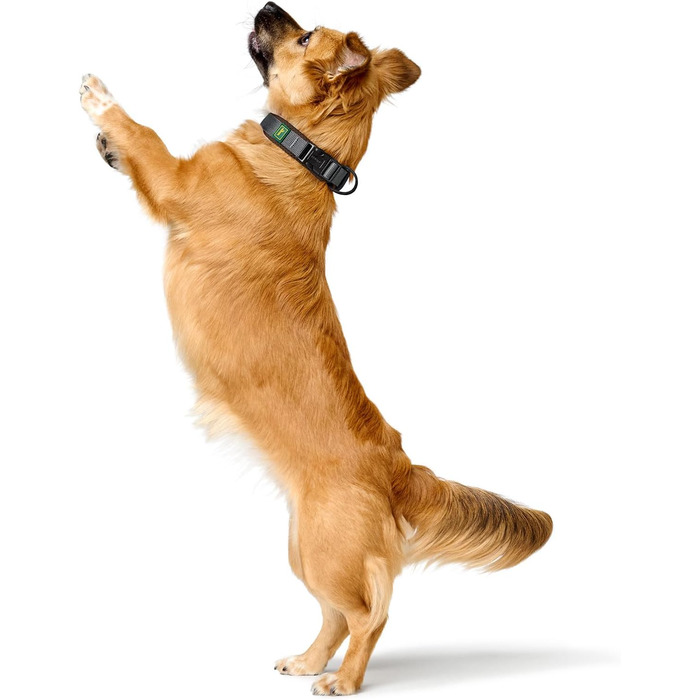 Нашийник для собак HUNTER Halsband Maldon, коричневий, дихаюча сітка, міцний нейлон, безшумний, гіпоалергенний, з полегшенням натягу, інтегрована адресна бирка, легкий, розмір S