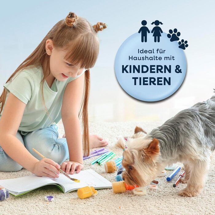 CLEANmaxx Професійний пароочисник для меблів та килимів Pro Steam | 3-в-1: очищувач меблів, точковий очищувач, пральний пилосос | Видаляє плями з килимів, авто, диванів тощо. (Чорний з шампунем, компактний 330W)