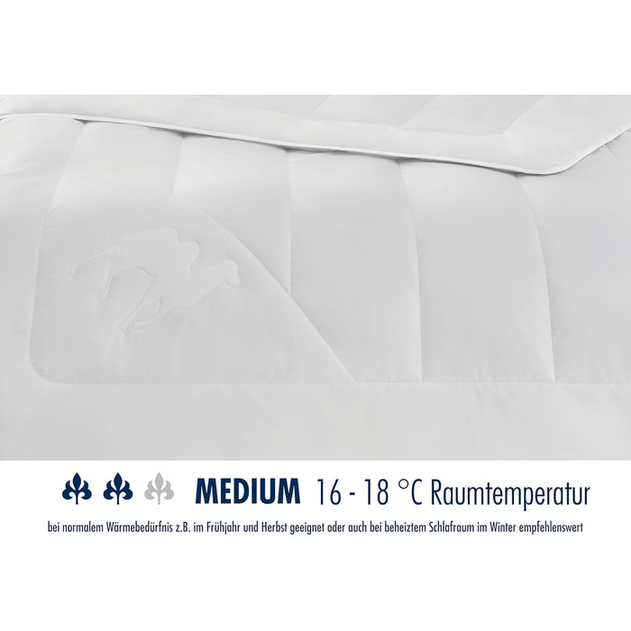 Irisette Kamel Steppbett - Made in Germany - Mono all-season duvet, camel hair blanket for transitional use, 135 x 200 cm, Öko-Tex certified 135x200 cm Mono Single