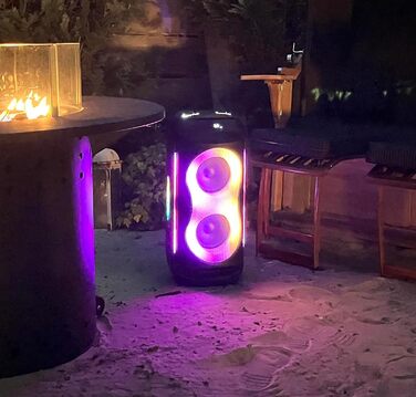 Reflexion PS09BT Bluetooth Портативна Акустика для Вечірок, DJ, Караоке, 500 Вт, FM Радіо, LED Ефект, Мікрофон, Вбудований Акумулятор, Чорний